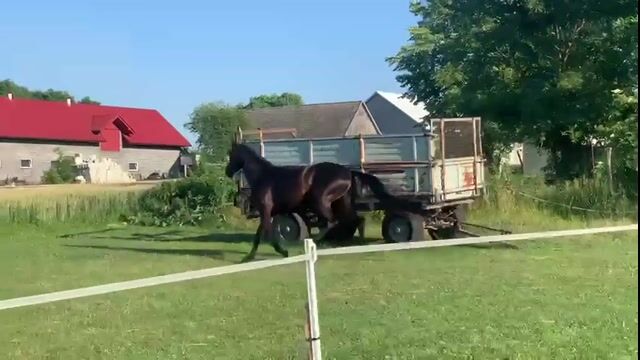 Video preview