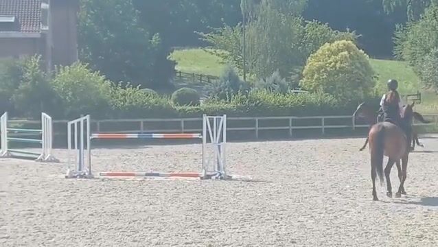 Video preview