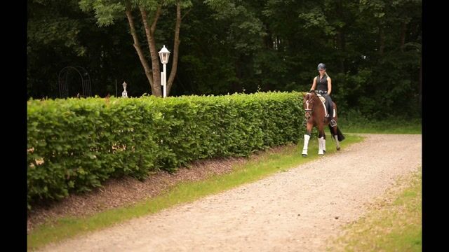 Video preview