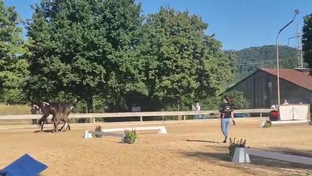 Video preview