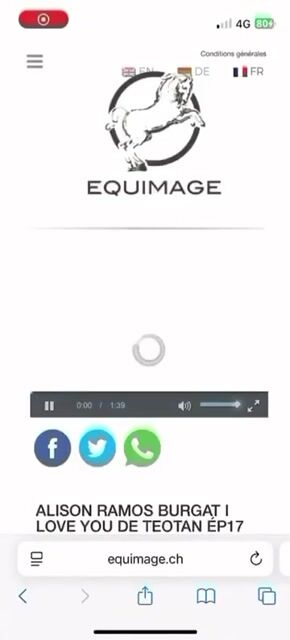 Video preview