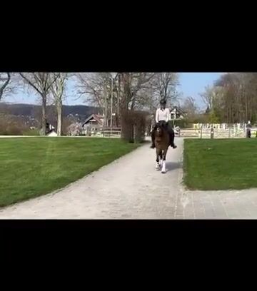 Video preview