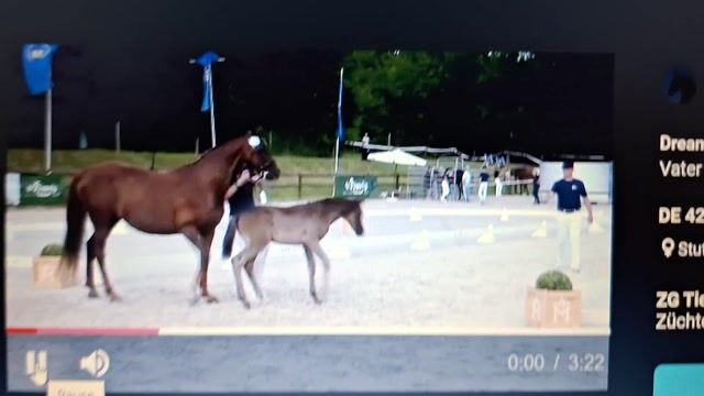 Video preview