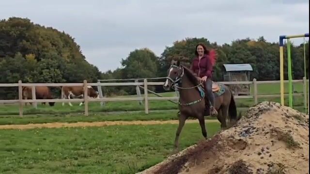 Video preview