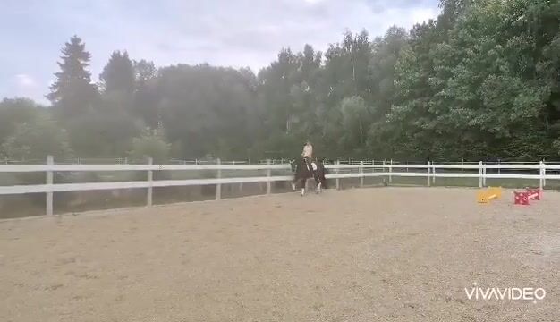 Video preview