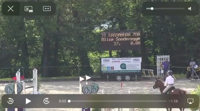 Video preview