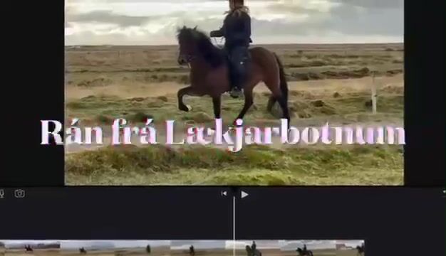 Video preview