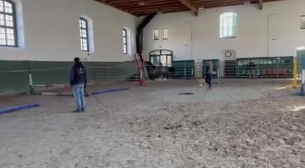 Video preview