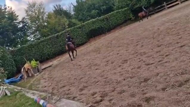 Video preview