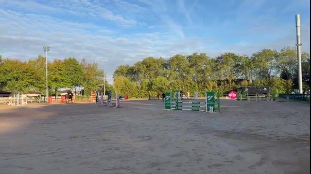 Video preview