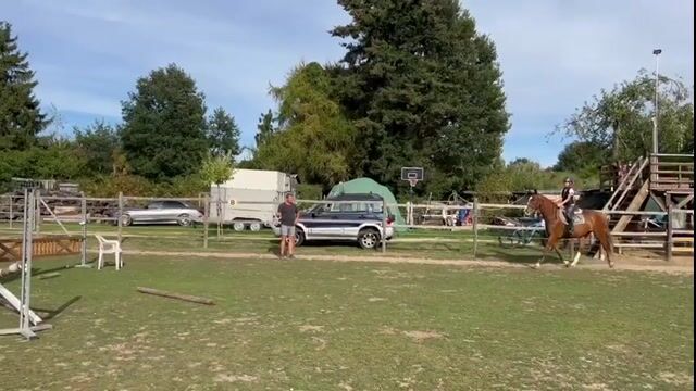 Video preview