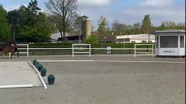 Video preview