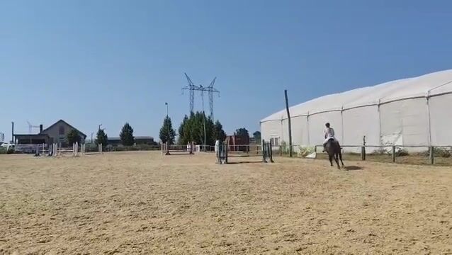 Video preview