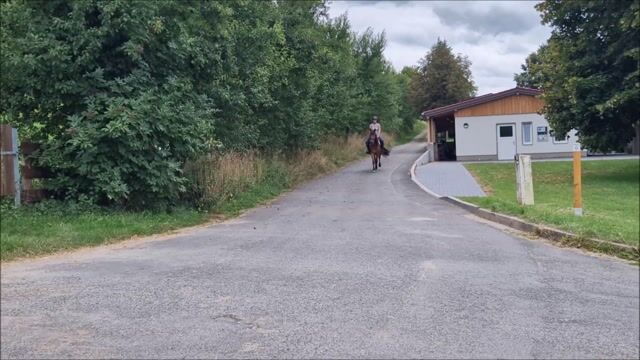 Video preview