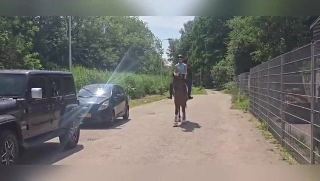Video preview