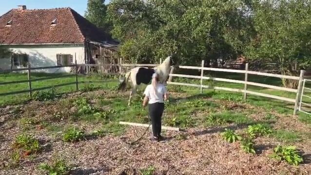 Video preview