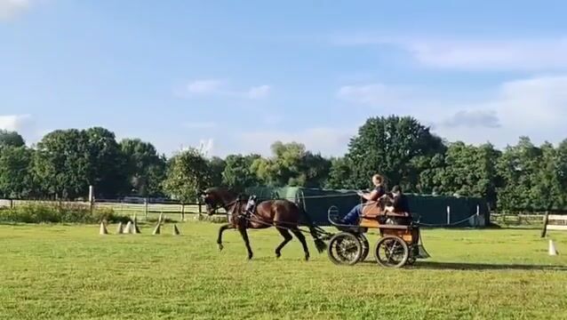 Video preview