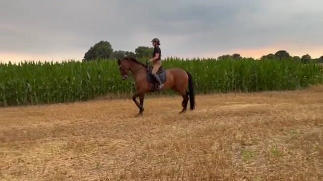 Video preview