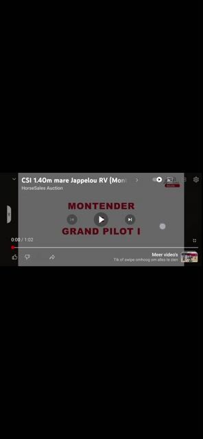 Video preview