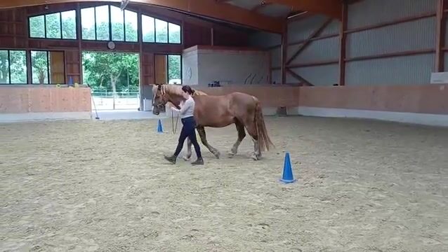 Video preview