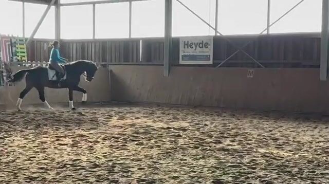 Video preview