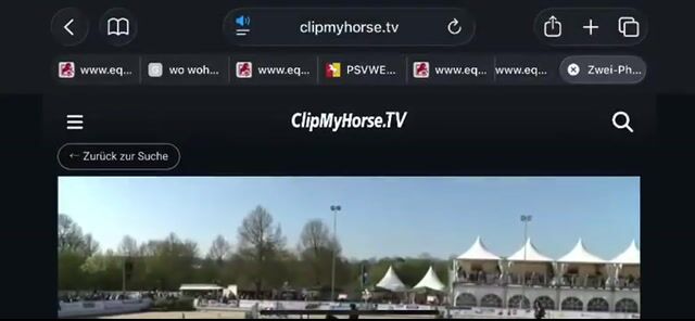 Video preview