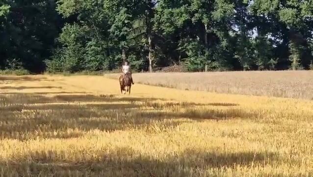 Video preview
