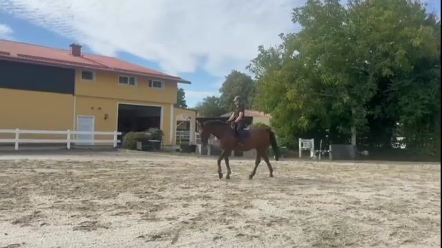 Video preview