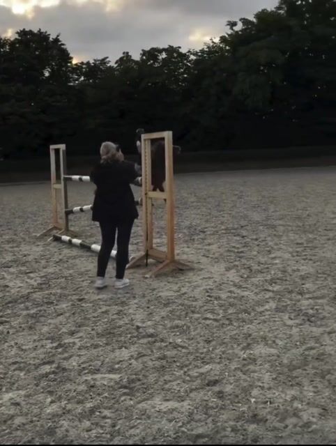 Video preview