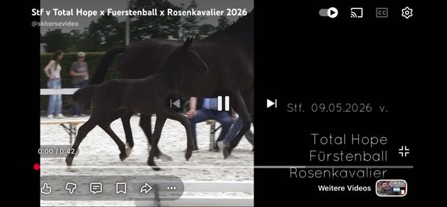 Video preview
