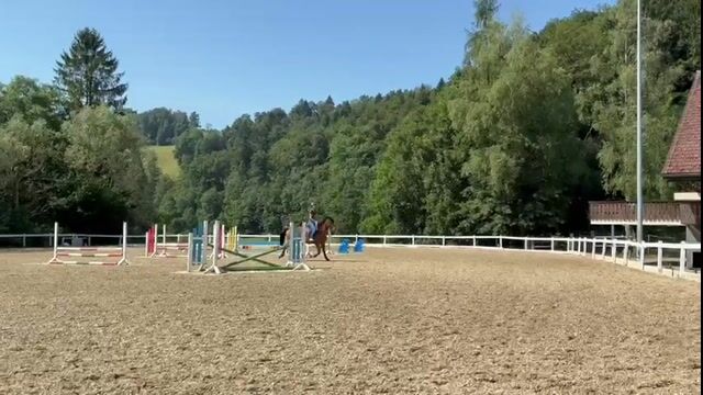 Video preview