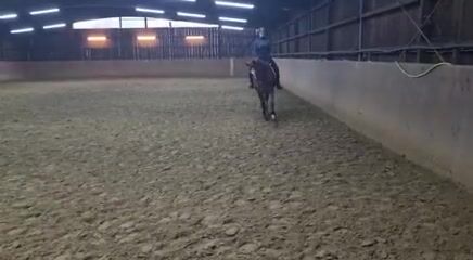 Video preview