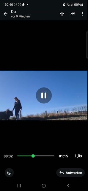 Video preview