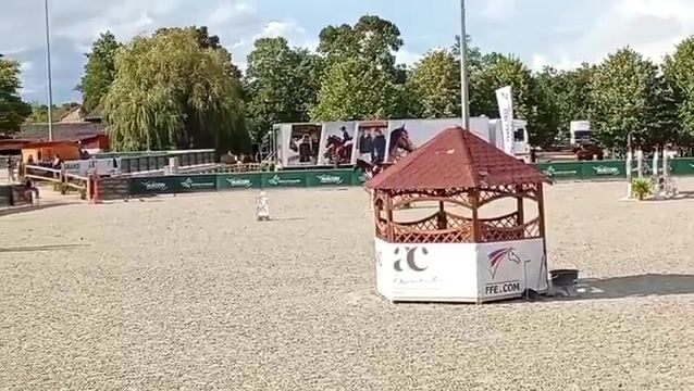 Video preview