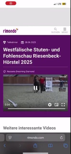Video preview
