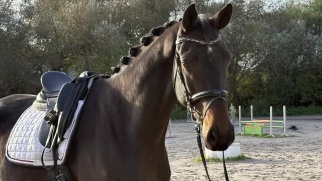 Video preview